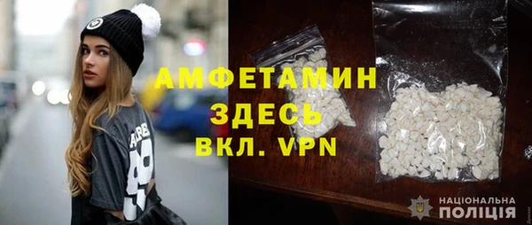 ПСИЛОЦИБИНОВЫЕ ГРИБЫ Арсеньев