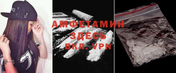 ПСИЛОЦИБИНОВЫЕ ГРИБЫ Арсеньев