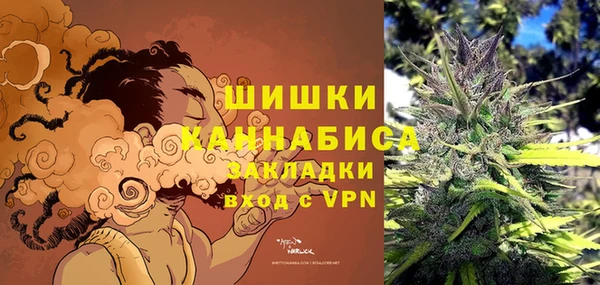 ПСИЛОЦИБИНОВЫЕ ГРИБЫ Арсеньев