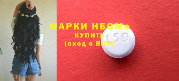 ПСИЛОЦИБИНОВЫЕ ГРИБЫ Арсеньев