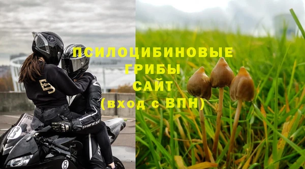 хмурый Армянск