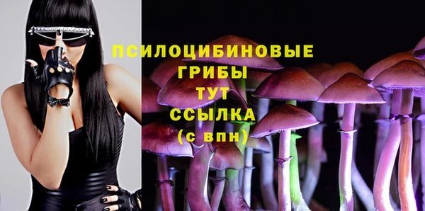 хмурый Армянск